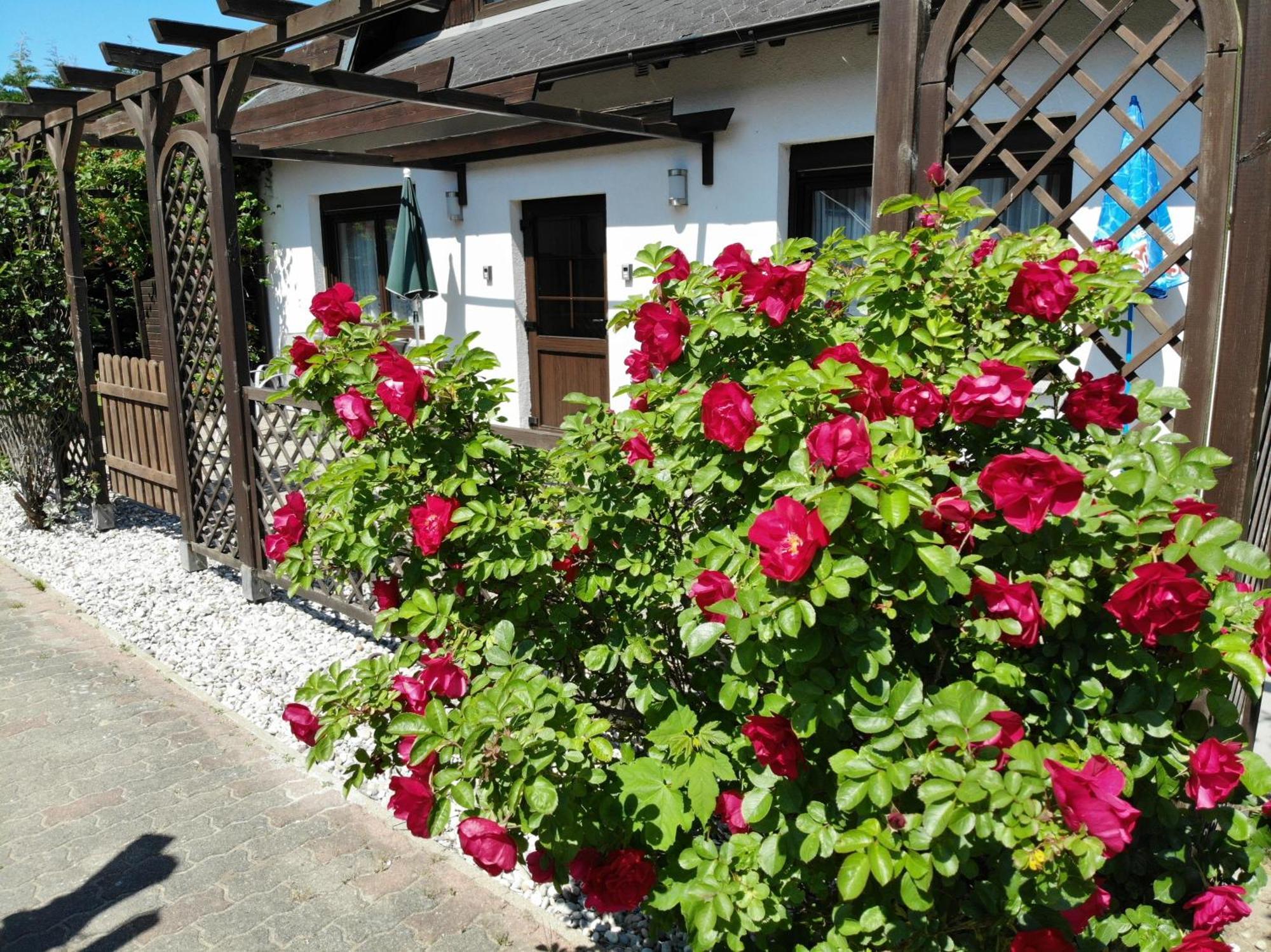 Ferienhaus Kress Rechts Sellin  Luaran gambar